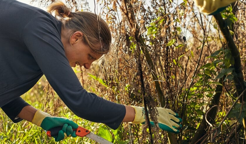 <p>Vanwege het stijgende aantal besmettingen met het coronavirus heeft Landschap Noord-Holland besloten om dit jaar de Landelijke Natuurwerkdag 2020 in Noord-Holland af te lasten.</p>