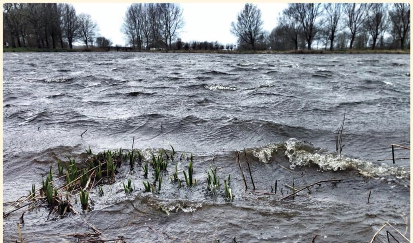Flinke schuimkoppen in het anders gladde Maalwaterin de Noorderneg.