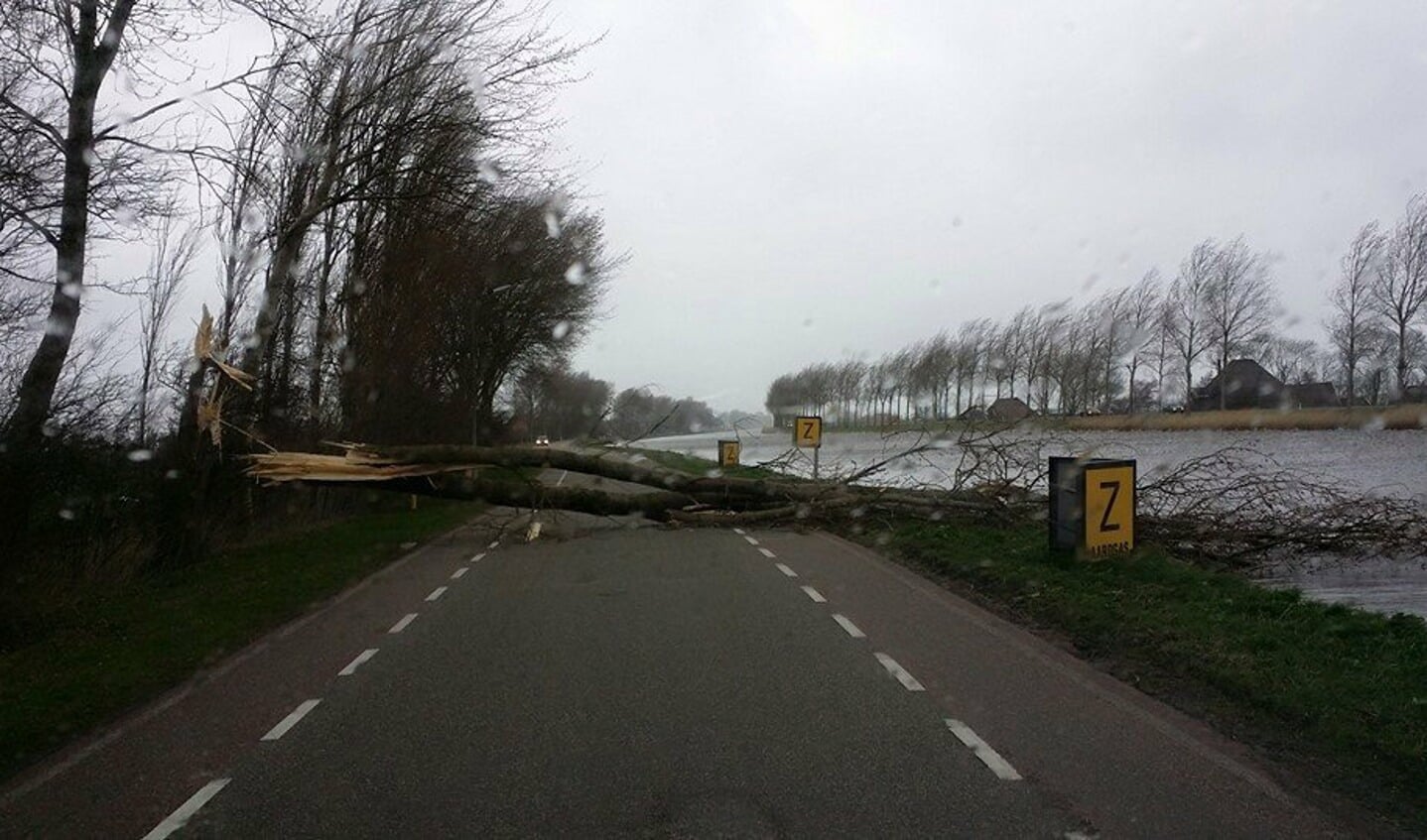Op de Boekel langs het Noordhollands kanaal blokkeerde een omgewaaide boom de doorgang. 