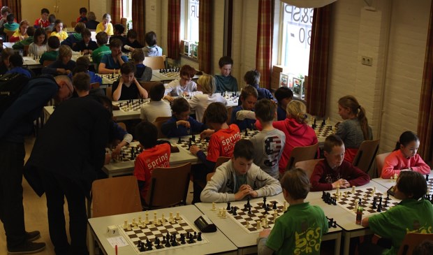 Zaterdag 28 maart werd in Krommenie een kampioenschap schoolschaken gehouden, waaraan leerlingen van de Springschans meededen, samen met de kampioenen uit een kleine dertig andere plaatsen in Noord-Holland.