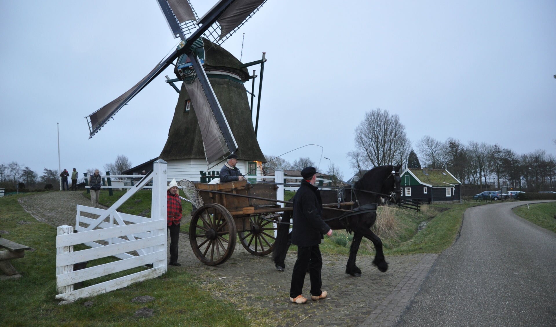 Het meel wordt opgehaald bij De Oude Knegt in Akersloot. De wagen voor het transport, is een replica van een schelpenkar. Voor de gelegenheid beschikbaar gesteld door Menno Twisk van het Strandvondstenmuseum in Castricum.

 