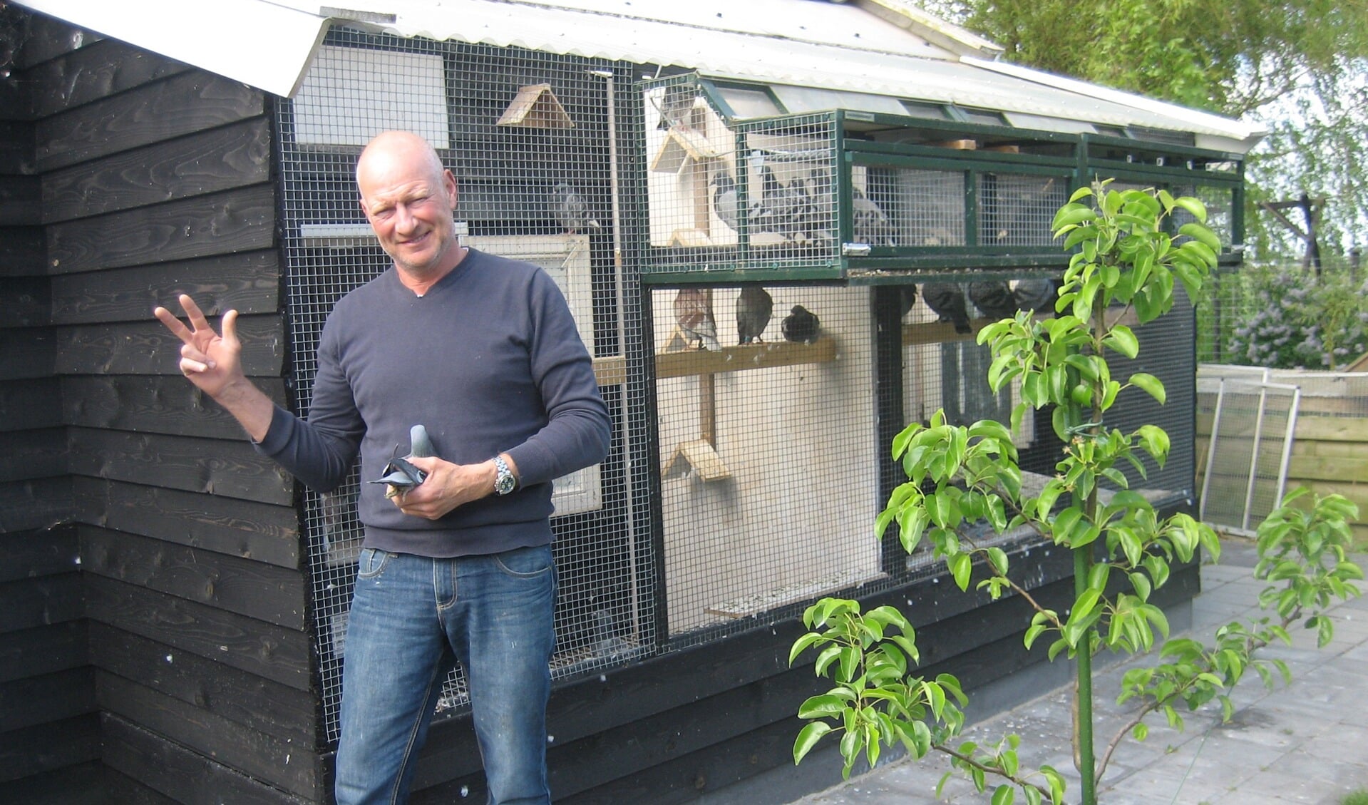 Peter Schellevis had de snelste drie duiven.
