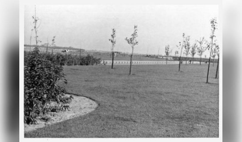 De winnende foto van de buurten Molendijk-Noord en Albert’s Hoeve.