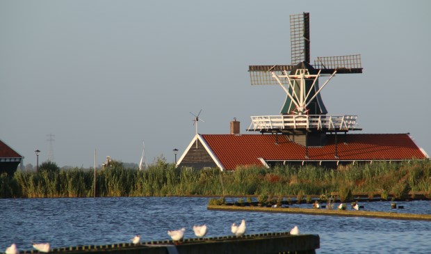 Houtzaagmolen op Erfgoed de Hoop