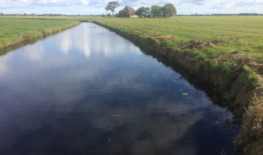 Landschap bij Castricum
