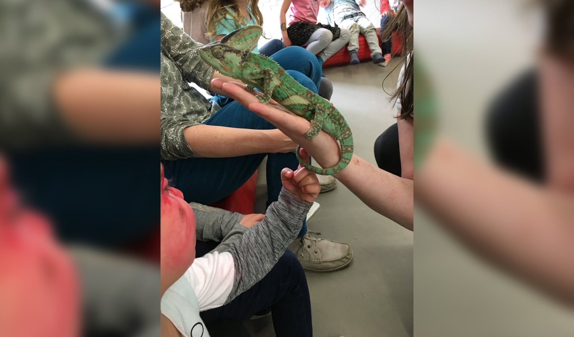 Tijdens de workshop Reptielen kunnen de kinderen echte reptielen zien en aanraken.