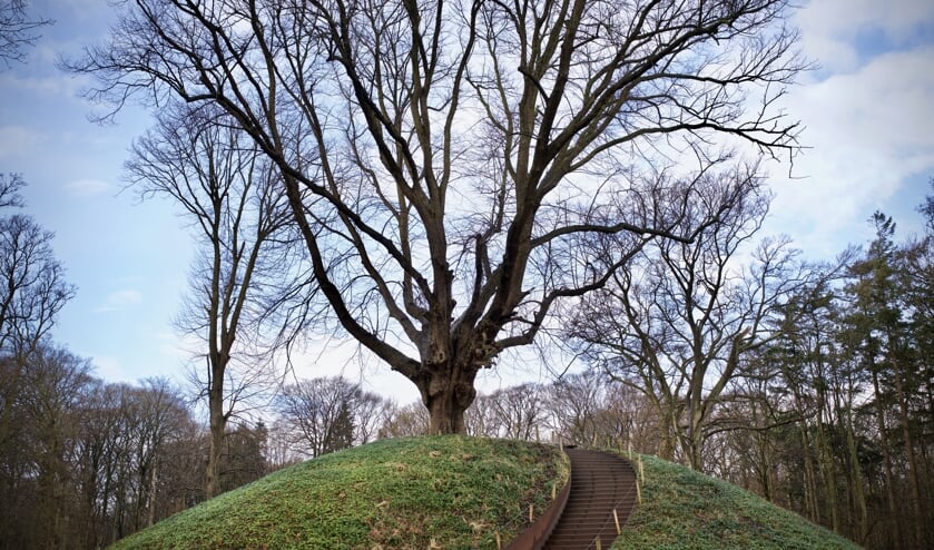 <p>De kattenberg, een van de karakteristieke plekken in Heiloo. </p>