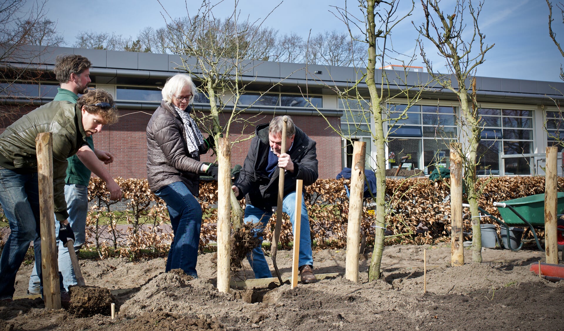 Wethouders Elly Beens en Rob Opdam helpen bij het planten van fruitbomen op Landgoed Willibrordus.