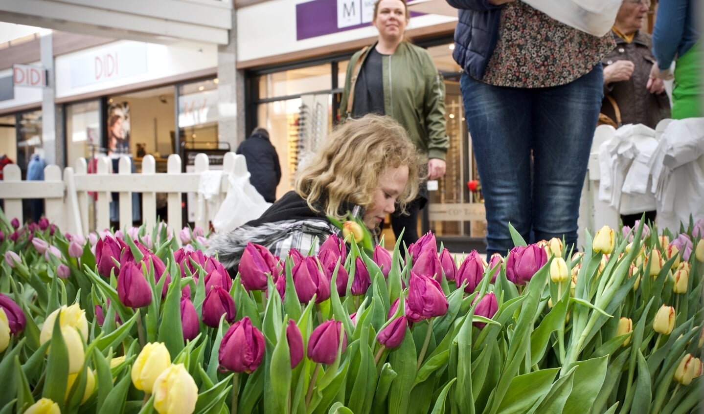 Ylara plukt tulpen voor haar moeder.