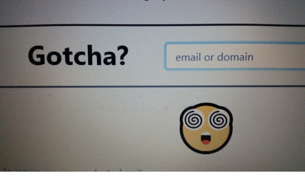 Beeld van zoekmachine Gotcha