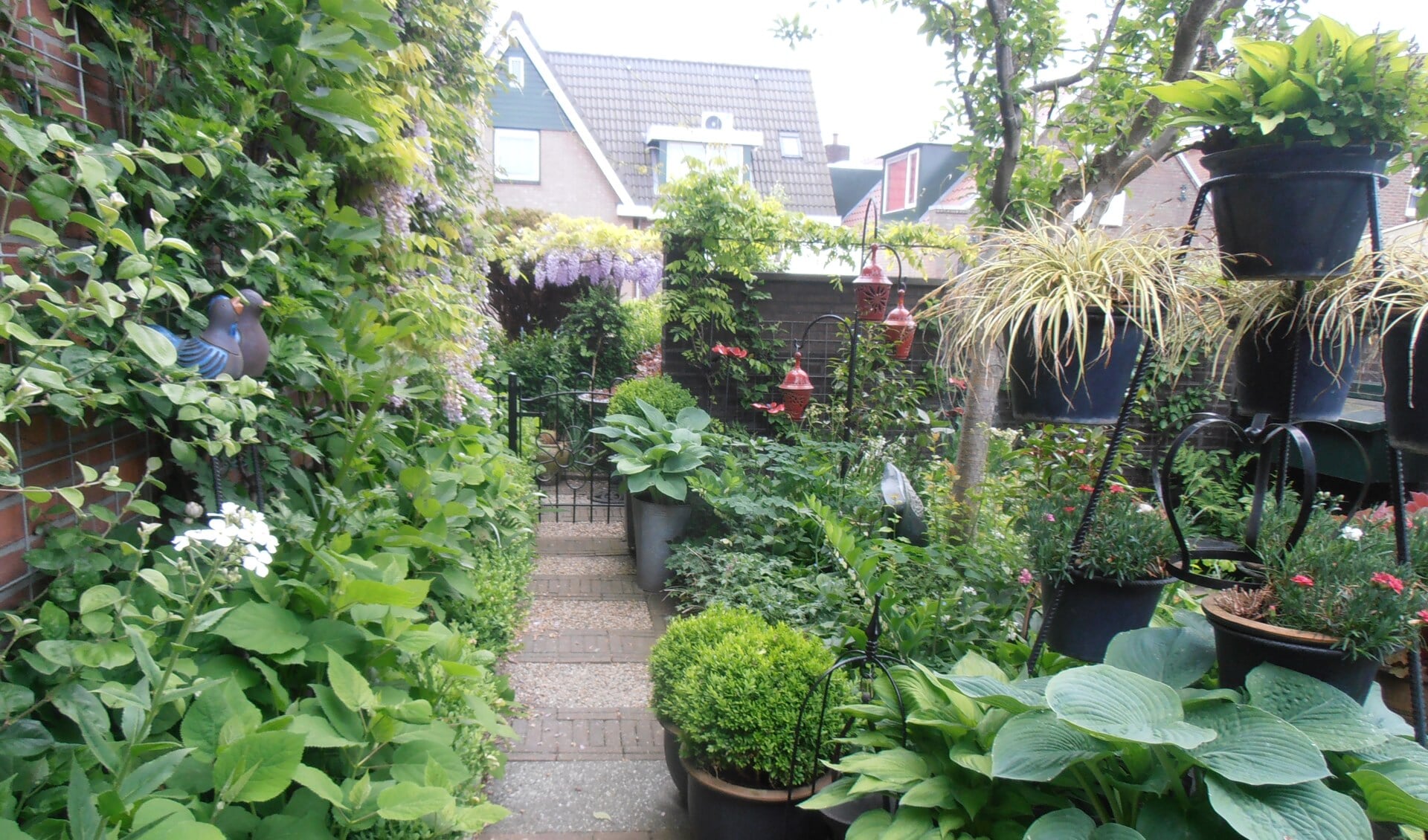 Veel moois te zien tijdens open tuinen weekend in Uitgeest