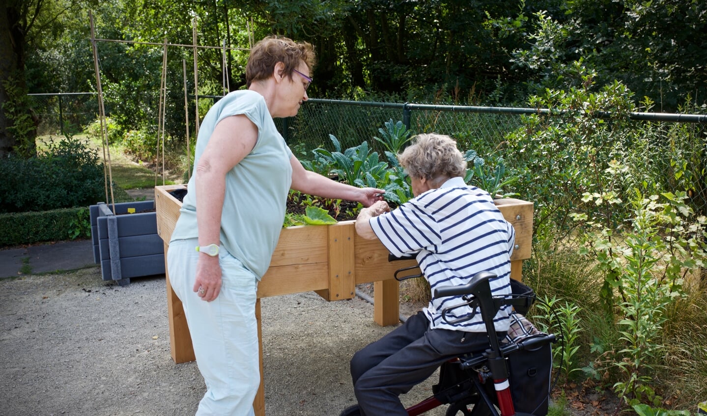 Vrijwilligers nemen ouderen mee de tuin in om samen te tuinieren.