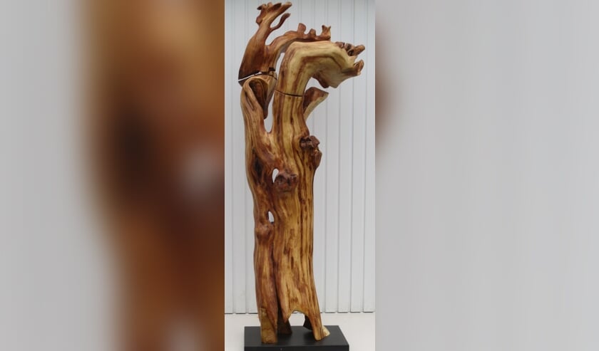 'De geredde knotwilg' (ca. 200 cm hoog).