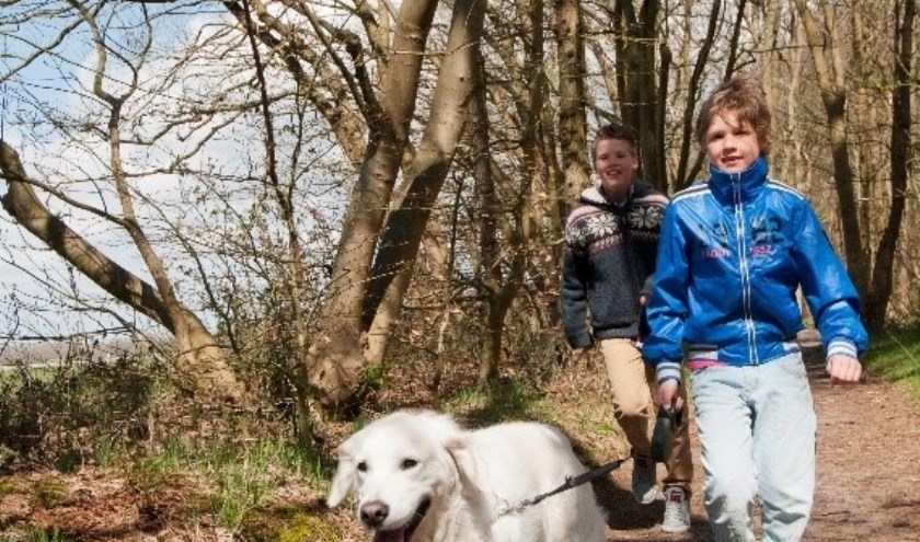 Landgoed Nijenburg is zeer populair onder wandelaars.
