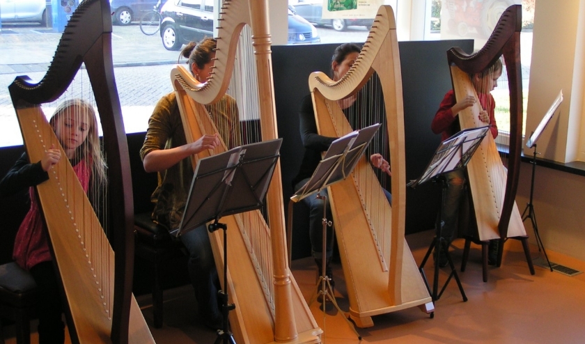 Leerlingen van de muziekschool bespelen de harp