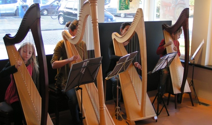 Leerlingen van De Nieuwe Muziekschool bespelen de harp.