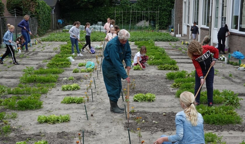 Meester Wim en de leerlingen aan het werk in de schooltuin.