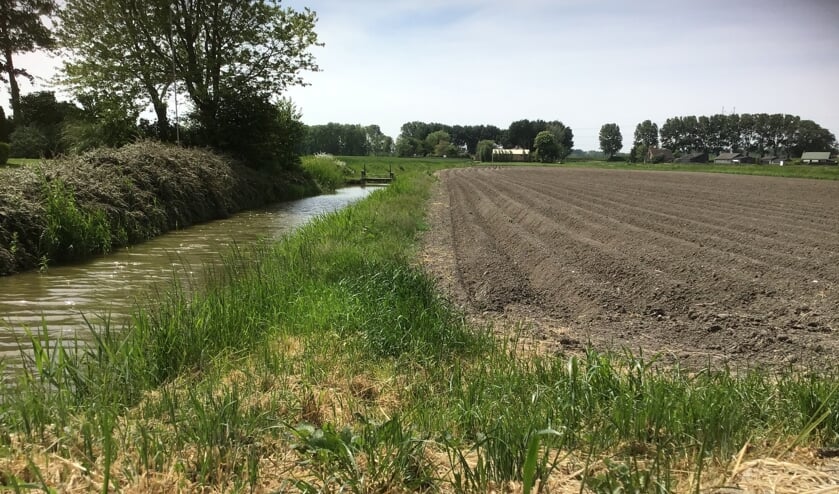 Voorbeeld van een juiste teeltvrije zone, zo ziet het hoogheemraadschap het graag.