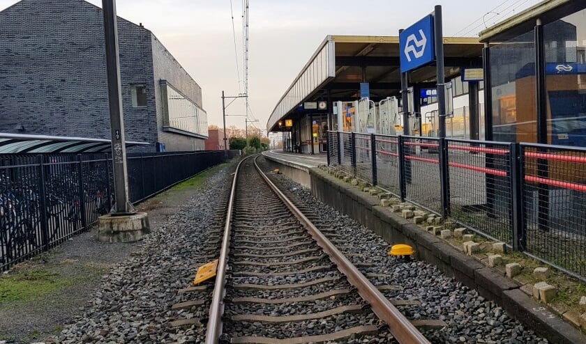 Foto: Gertjan Zeeman.