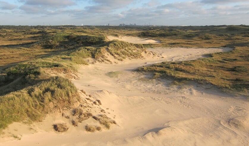 De Lazaretduin in Castricum.