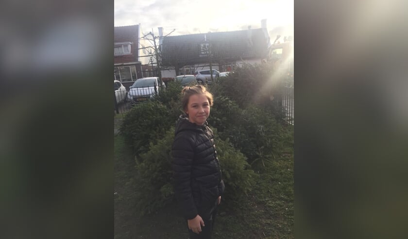 Samuel met zijn verzameling kerstbomen