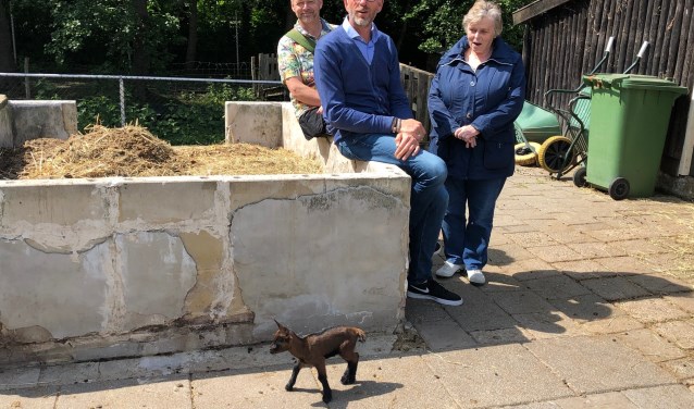 V.l.n.r.: Tom, Bart en Thea, met op de voorgrond een geitje van 8 dagen jong.