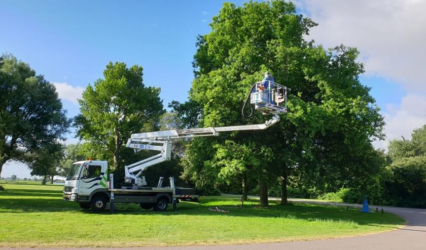In Uitgeest kwam de Bomenploeg in actie met de hoogwerker in Recreatiepark Dorregeest.