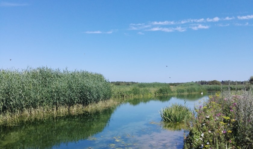Fietsen langs mooie wateren en poldergebieden met de Pontjesroute.