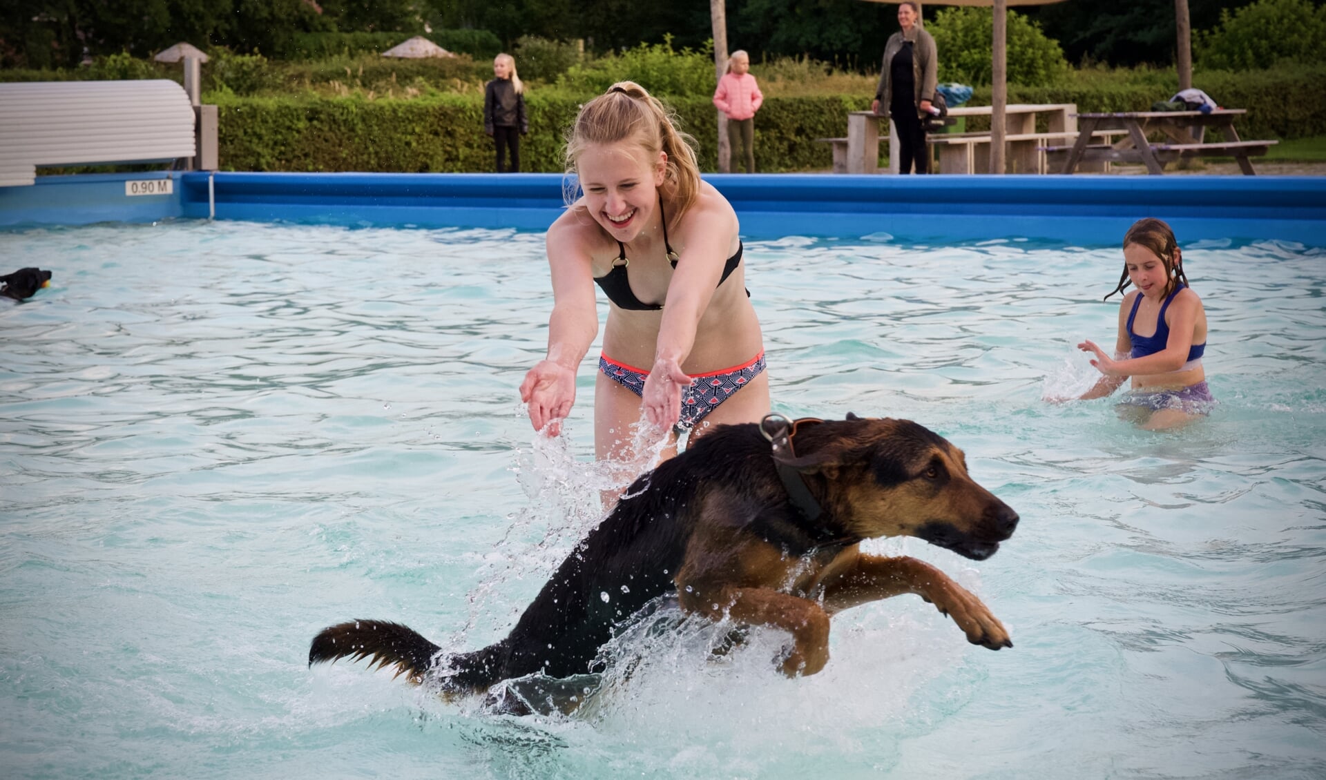 Ook de baasjes genieten tijdens het hondenzwemmen.