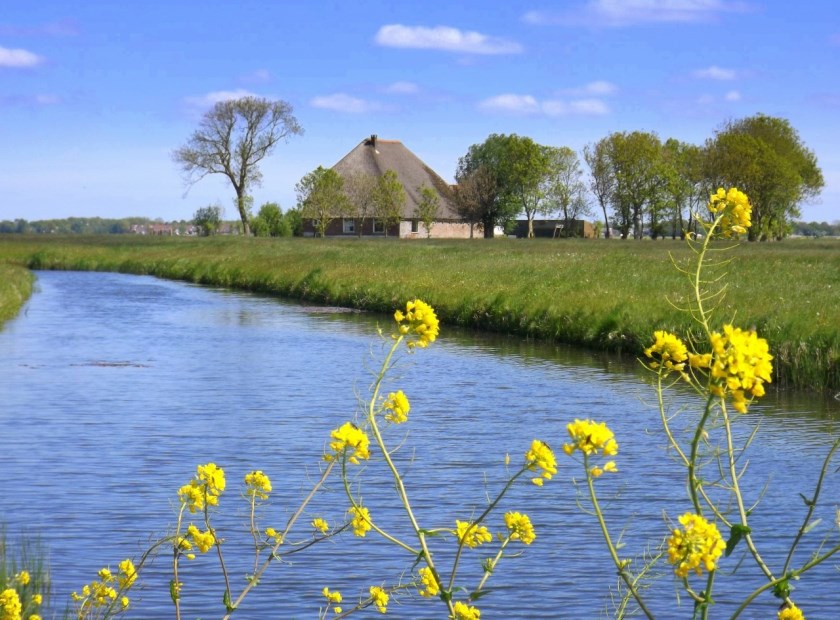Door middel van goed overleg met overheidsinstellingen, andere instituten en particulieren zet de Stichting Alkmaardermeeromgeving zich in voor behoud en verbetering landschapskwaliteit