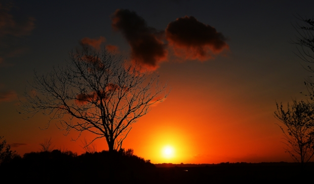 Zonsondergang nabij de weilanden richting Castricum