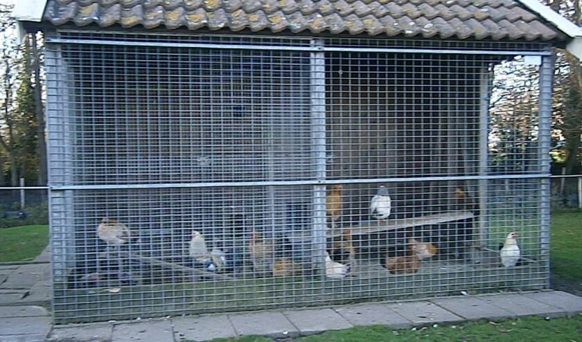 <p>Pluimvee op het hertenpark in quarantaine.</p>