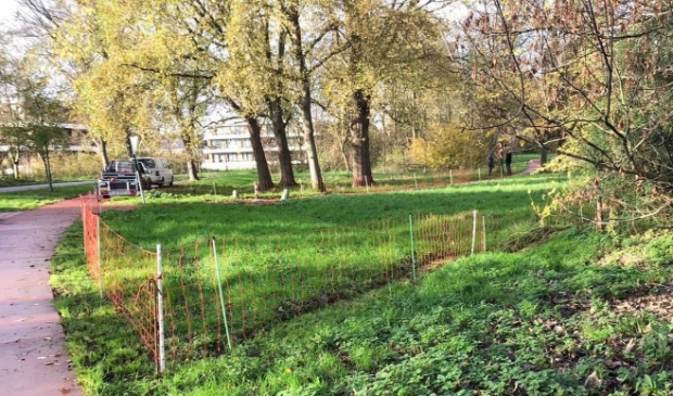 <p>Het Maalwater in afwachting van de schapen. </p>