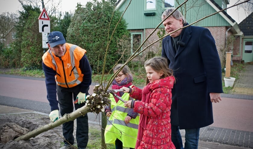 Onder toeziend oog van wethouder Opdam en voorman Ben (wijkteam noord, beheer openbare ruimte), snoeien Phileine en Annabel de knotwilg.