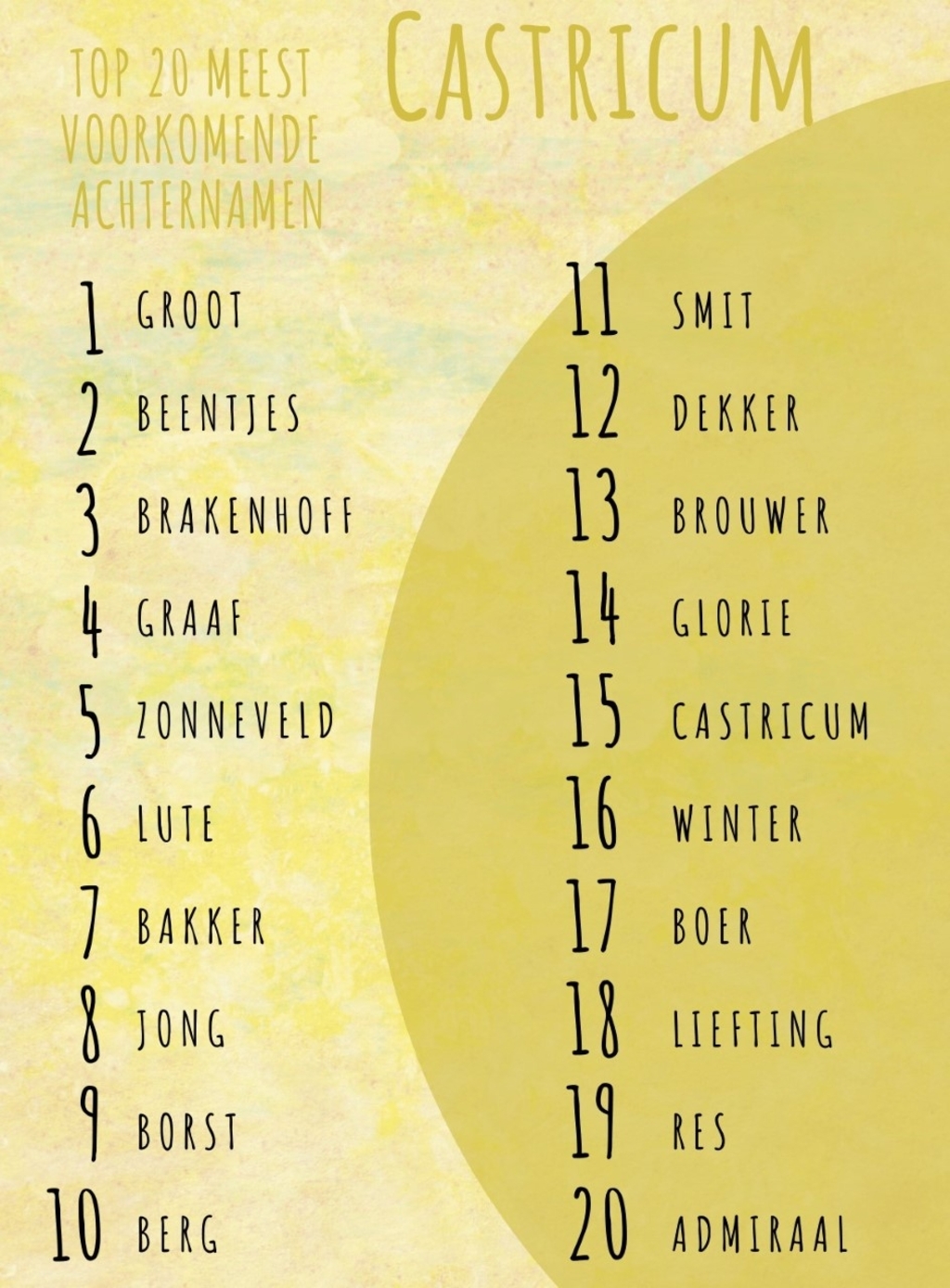 Deze top 20 is gebaseerd op het aantal vermeldingen op Telefoonboek.nl.