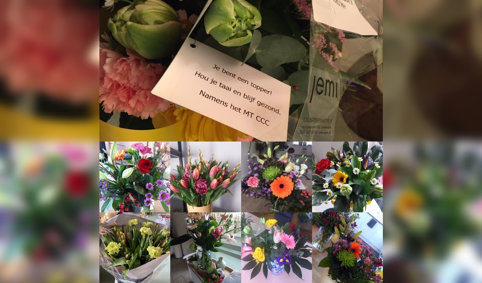 Collage van de bloemen van diverse medewerkers van het
Clusius College Castricum.
