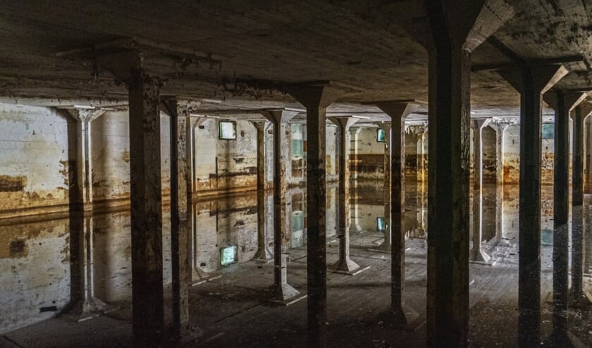 'Reflection'.