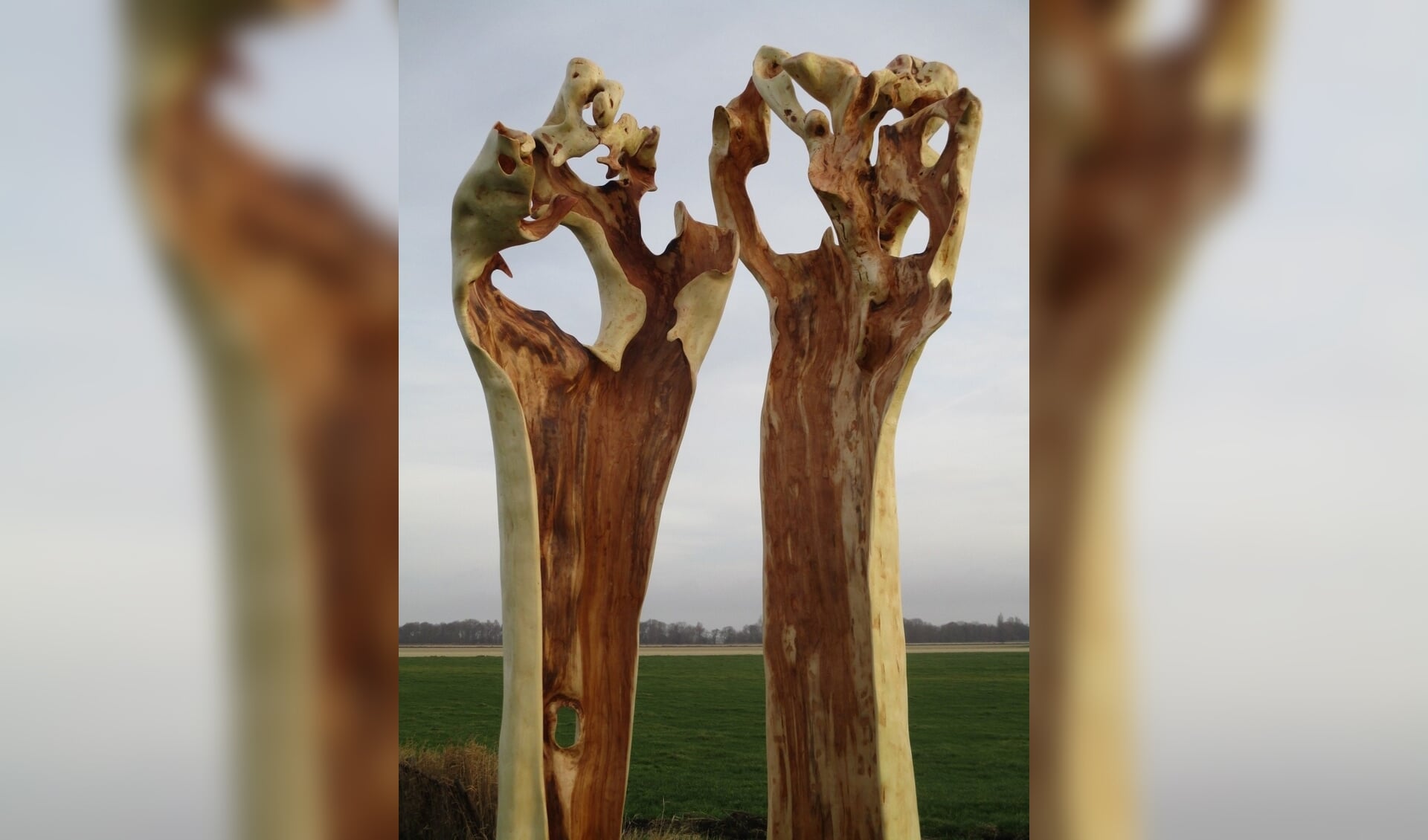 Jos Apeldoorn: een houtsculptuur van knotwilg.
