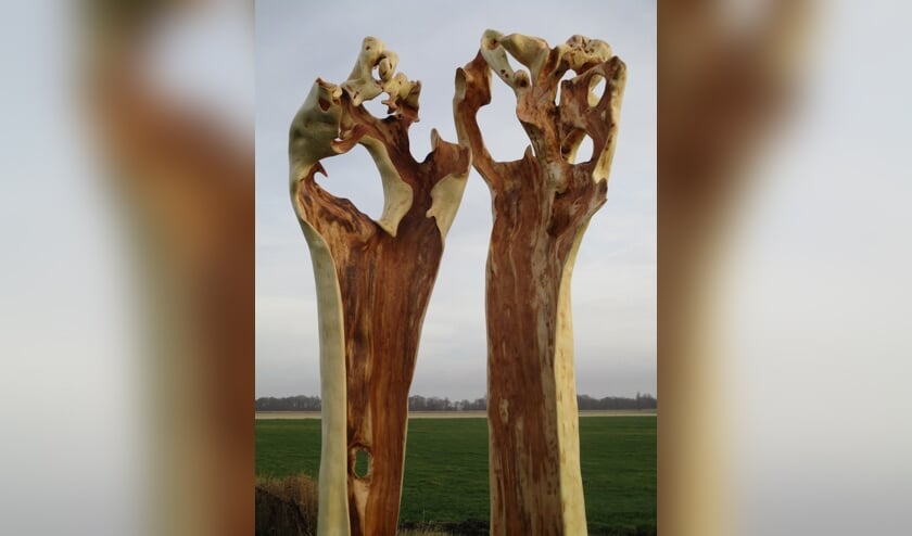 Jos Apeldoorn: een houtsculptuur van knotwilg.