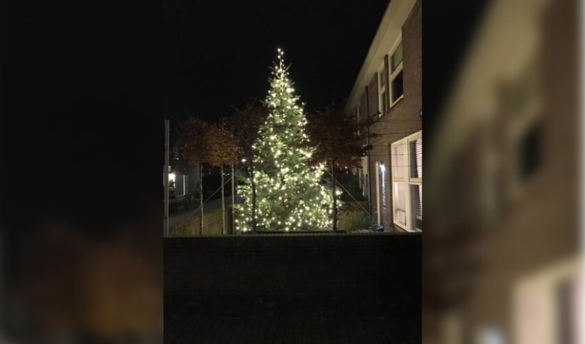 <p>De feestdagen zijn voorbij. Deze prachtige boom kan dus ook naar de versnipperaar.</p>