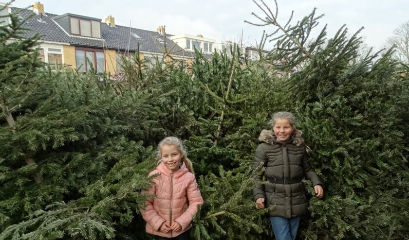 <p>Merel (l) en Lisa (r) in hun achtertuin vol kerstbomen</p>