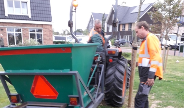 <p>De bollen van Hortus Bulborum vrolijken de buurt op.</p>