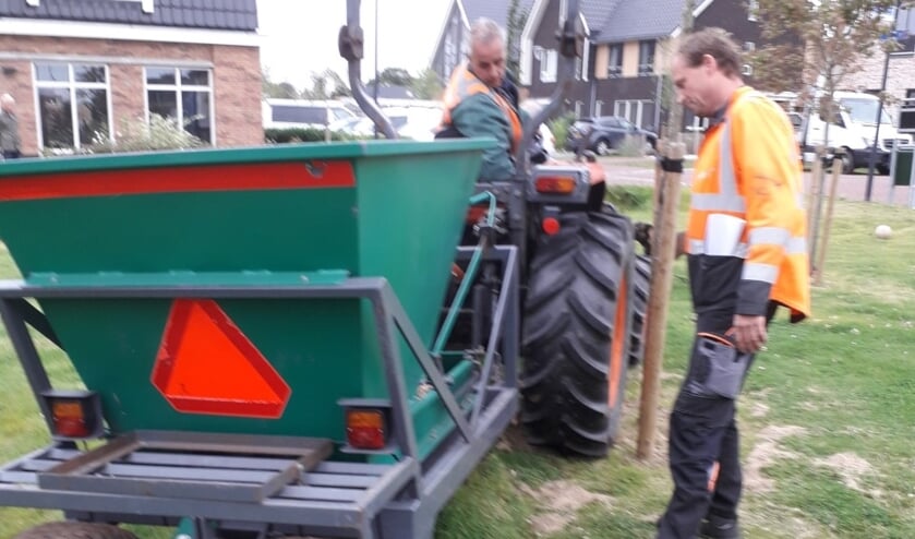 <p>De bollen van Hortus Bulborum vrolijken de buurt op.</p>
