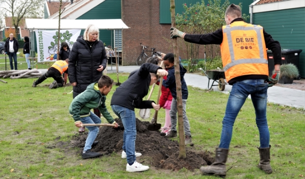 <p>Onder aanmoediging van wethouder Cecilia van Weel planten Vrijburg-leerlingen bomen in de Plevierstraat.</p>