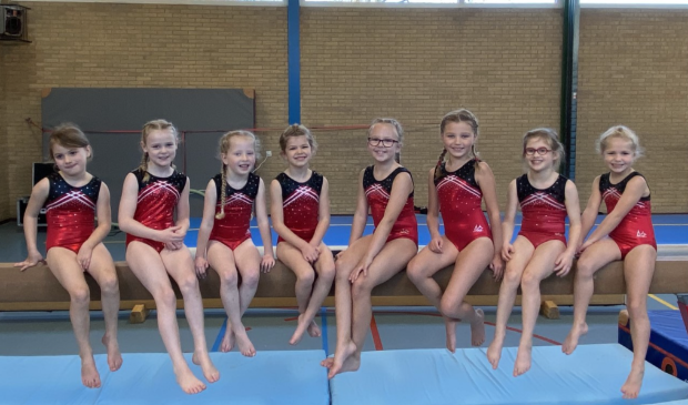 <p>Maja Lisa, Nova, Liva, Leyana, Chelsey, Feline, Jultsje en Sofie</p>