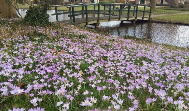 <p>Het lijkt wel lente!</p>