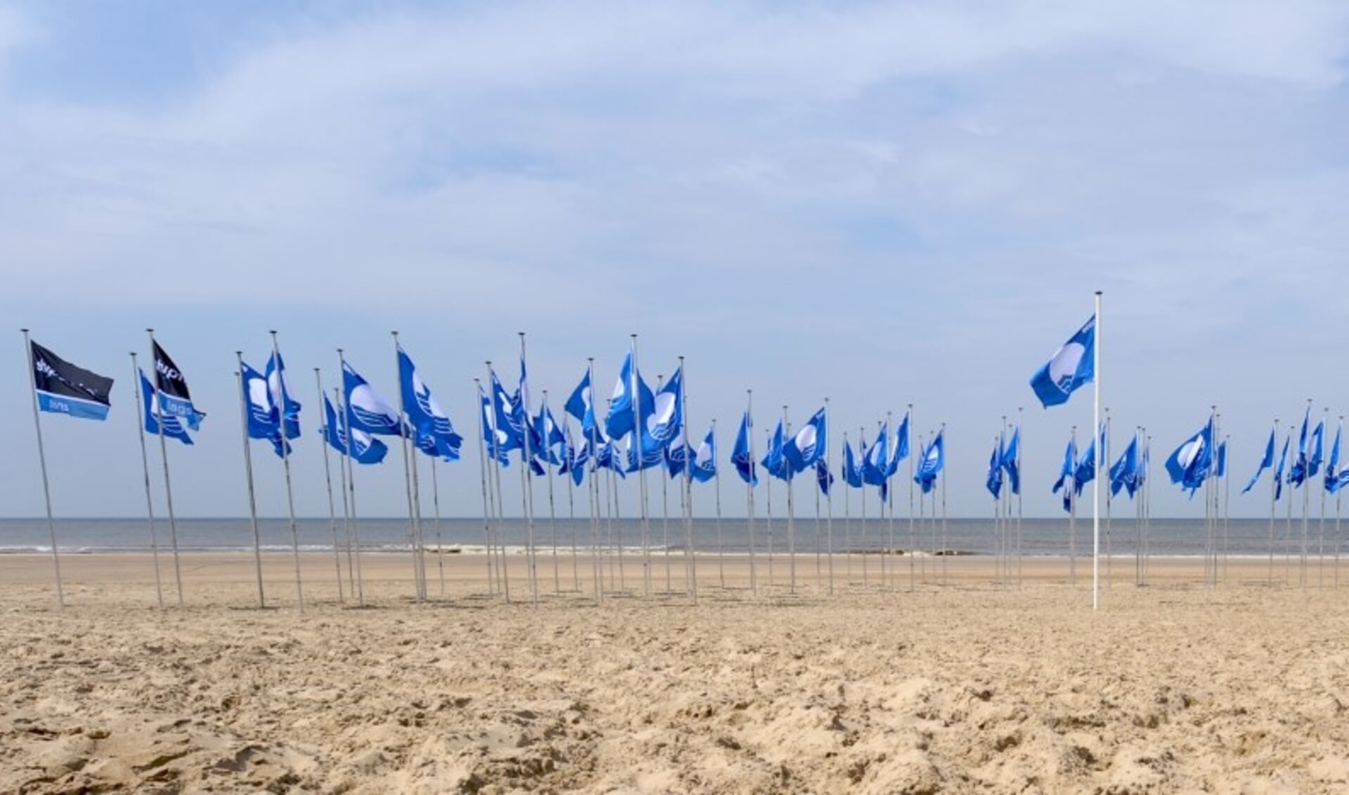 Castricum was eerder host van de landelijke uitreiking: van alle Blauwe Vlag-gemeenten wapperden er toen vlaggen aan het Castricumse strand.