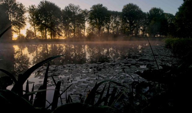 Driehoekvijver