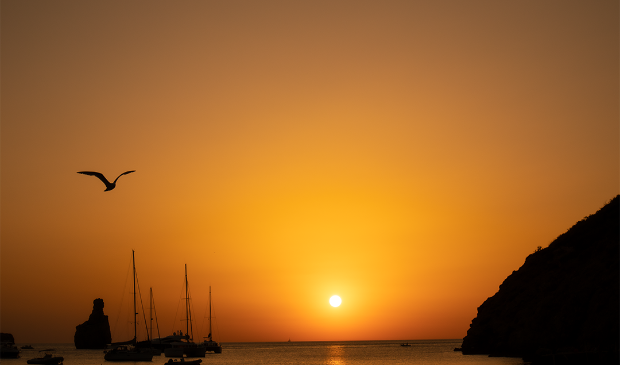 <p>Luc Baltus is op vakantie naar Ibiza geweest: "We waren op de een na laatste dag naar de badplaats "cala Benirrás" in het noorden van Ibiza. Super mooi hier. Er waren heel veel mensen om de zonsondergang te bekijken en ik heb er wat foto's van gemaakt!"</p>