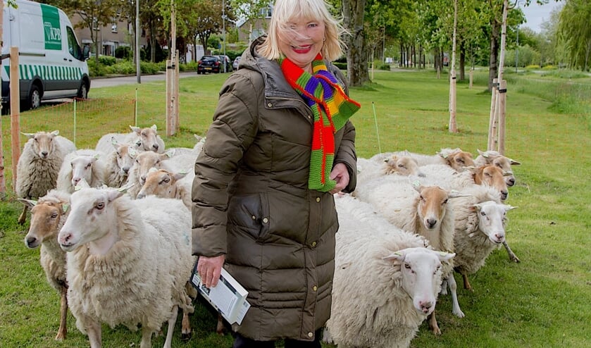Wethouder Cecilia van Weel zet biodiversiteit op poten met hulp van schapen.